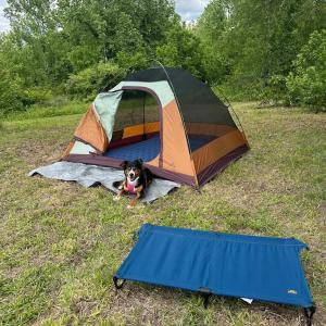 Photo #59 of 9999 Randolph Creek Road, New Canton, VA 60.0 acres