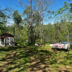 Photo #45 of 9999 Randolph Creek Road, New Canton, VA 60.0 acres