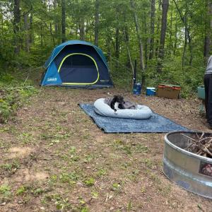 Photo #38 of 9999 Randolph Creek Road, New Canton, VA 60.0 acres