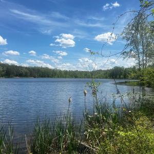 Photo #20 of 9999 Randolph Creek Road, New Canton, VA 60.0 acres