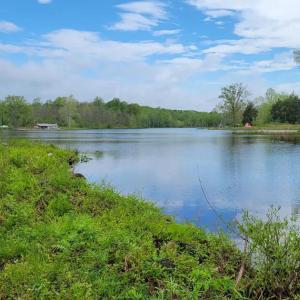 Photo #30 of 9999 Randolph Creek Road, New Canton, VA 60.0 acres