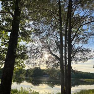 Photo #27 of 9999 Randolph Creek Road, New Canton, VA 60.0 acres