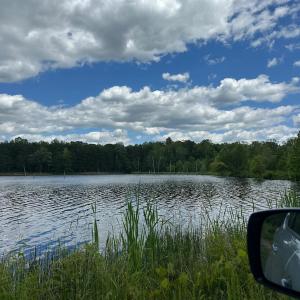 Photo #58 of 9999 Randolph Creek Road, New Canton, VA 60.0 acres