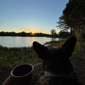 Photo #51 of 9999 Randolph Creek Road, New Canton, VA 60.0 acres