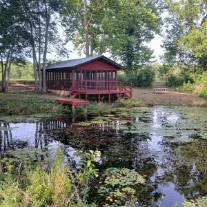 Photo #71 of 9999 Randolph Creek Road, New Canton, VA 60.0 acres