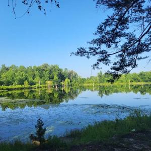 Photo #12 of 9999 Randolph Creek Road, New Canton, VA 60.0 acres