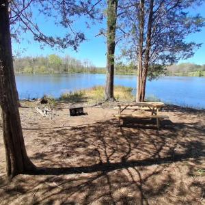 Photo #52 of 9999 Randolph Creek Road, New Canton, VA 60.0 acres