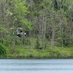 Photo #44 of 9999 Randolph Creek Road, New Canton, VA 60.0 acres