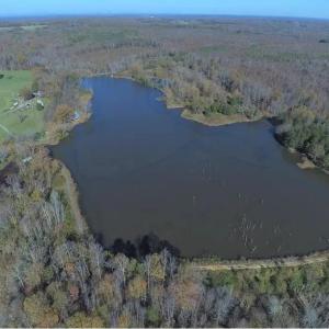 Photo #80 of 9999 Randolph Creek Road, New Canton, VA 60.0 acres