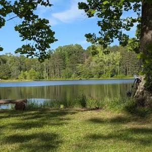Photo #76 of 9999 Randolph Creek Road, New Canton, VA 60.0 acres