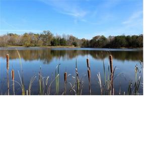 Photo #11 of 9999 Randolph Creek Road, New Canton, VA 60.0 acres