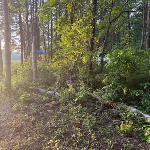 Photo #25 of 9999 Randolph Creek Road, New Canton, VA 60.0 acres