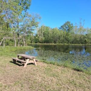 Photo #62 of 9999 Randolph Creek Road, New Canton, VA 60.0 acres