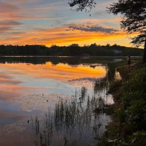 Photo #7 of 9999 Randolph Creek Road, New Canton, VA 60.0 acres