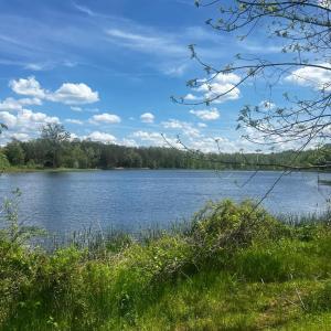 Photo #19 of 9999 Randolph Creek Road, New Canton, VA 60.0 acres