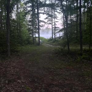 Photo #23 of 9999 Randolph Creek Road, New Canton, VA 60.0 acres