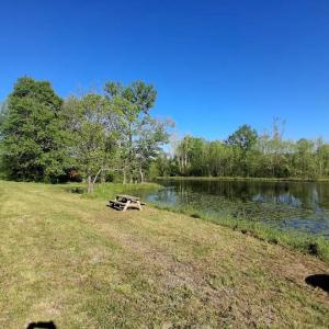 Photo #63 of 9999 Randolph Creek Road, New Canton, VA 60.0 acres