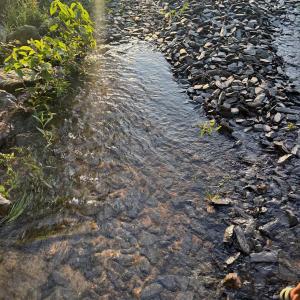 Photo #26 of 9999 Randolph Creek Road, New Canton, VA 60.0 acres