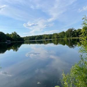 Photo #10 of 9999 Randolph Creek Road, New Canton, VA 60.0 acres