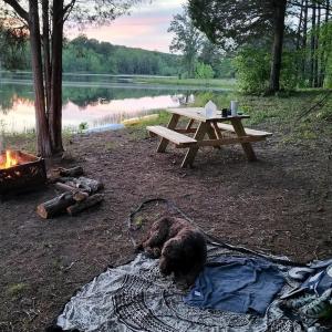 Photo #50 of 9999 Randolph Creek Road, New Canton, VA 60.0 acres