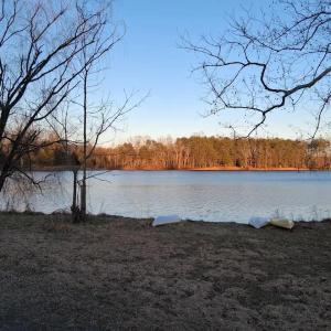 Photo #15 of 9999 Randolph Creek Road, New Canton, VA 60.0 acres