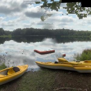 Photo #34 of 9999 Randolph Creek Road, New Canton, VA 60.0 acres