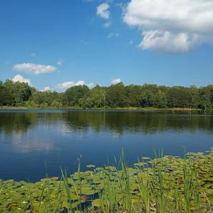 Photo #78 of 9999 Randolph Creek Road, New Canton, VA 60.0 acres