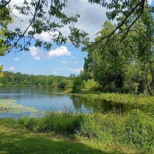 Photo #29 of 9999 Randolph Creek Road, New Canton, VA 60.0 acres