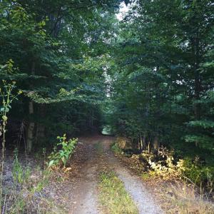 Photo #1 of Rocky Ford Road, Moneta, VA