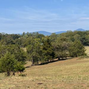 Photo #20 of Horseshoe Creek Ln, Amherst, VA 34.0 acres