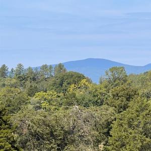 Photo #4 of Horseshoe Creek Ln, Amherst, VA 34.0 acres