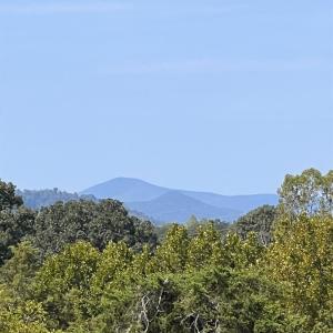 Photo #7 of Horseshoe Creek Ln, Amherst, VA 34.0 acres