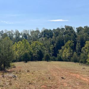 Photo #24 of Horseshoe Creek Ln, Amherst, VA 34.0 acres
