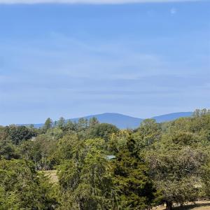 Photo #19 of Horseshoe Creek Ln, Amherst, VA 34.0 acres