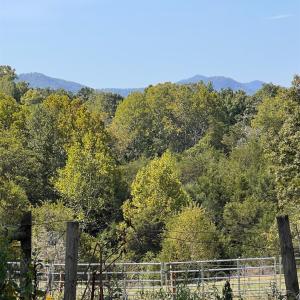 Photo #40 of Horseshoe Creek Ln, Amherst, VA 34.0 acres