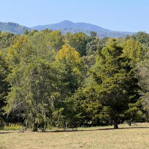 Photo #32 of Horseshoe Creek Ln, Amherst, VA 34.0 acres