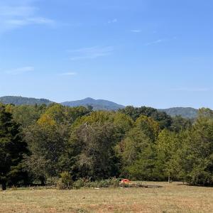 Photo #35 of Horseshoe Creek Ln, Amherst, VA 34.0 acres