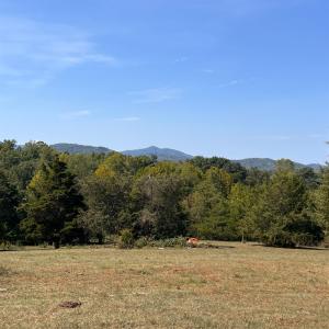 Photo #34 of Horseshoe Creek Ln, Amherst, VA 34.0 acres