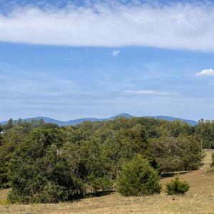 Photo #21 of Horseshoe Creek Ln, Amherst, VA 34.0 acres