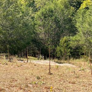 Photo #28 of Horseshoe Creek Ln, Amherst, VA 34.0 acres