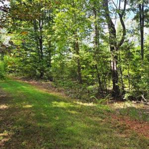 Photo #1 of Hayshed Lot 1, Amherst, VA 5.0 acres
