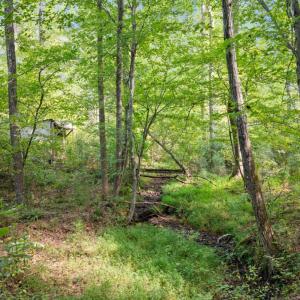 Photo #4 of Hayshed Lot 3 Road, Amherst, VA 5.0 acres