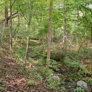 Photo #4 of Hayshed Lot 4 Road, Amherst, VA 5.0 acres