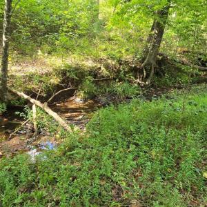 Photo #3 of Hayshed Lot 5 Road, Amherst, VA 5.0 acres