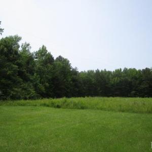 Photo #6 of 1144 Mt. Mitchell, Drakes Branch, VA 7.0 acres