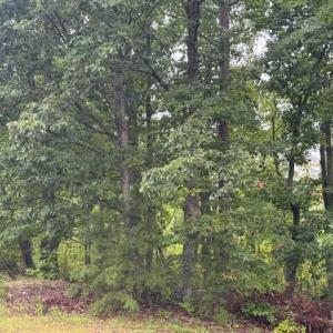Photo #1 of James Anderson Highway, Gladstone, VA 26.1 acres