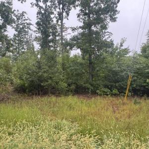 Photo #1 of James Anderson Highway, Gladstone, VA 17.8 acres