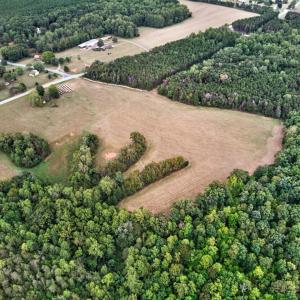 Photo #8 of 17330 Wyatts Way, Evington, VA 17.4 acres