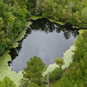 Photo #51 of 799 Sunnyside Rd, Arvonia, VA 140.0 acres