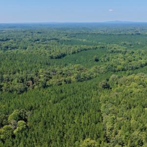 Photo #40 of 799 Sunnyside Rd, Arvonia, VA 140.0 acres